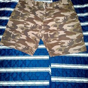 Slate & Stone Flat Front Brown and Green Shorts
